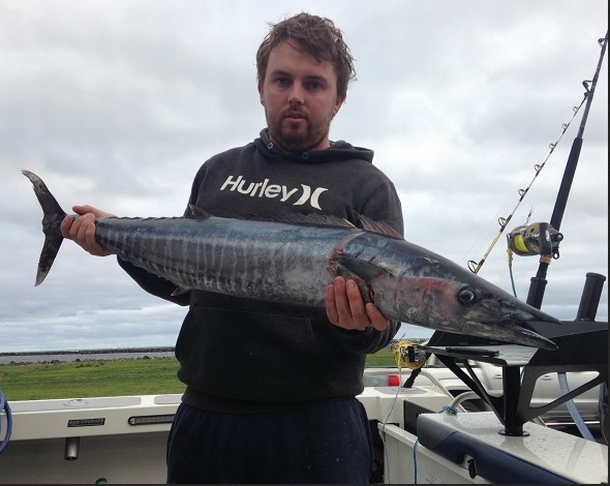 The wahoo of South Oz